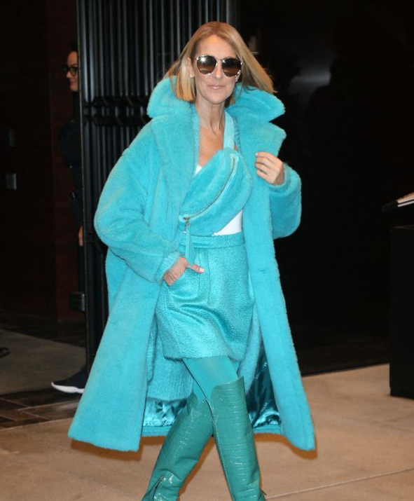Céline Dion a confirmé son entrée dans le monde de la mode.
