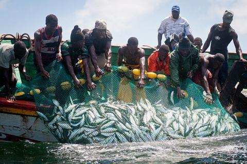 EXPLOITATION GAZIÈRE : L’ETAT INVITÉ À ANTICIPER LES MENACES SUR LA PÊCHE
