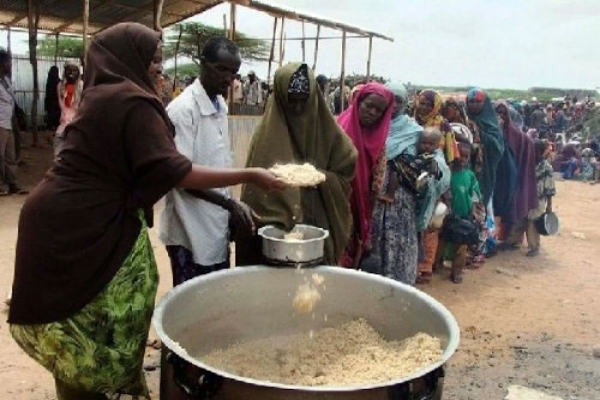 KEDOUGOU Mobilisation sociale contre la malnutrition : Le centre de Toumania reverdit