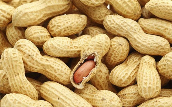 La SONACOS obtient 45 milliards pour la commercialisation de l’arachide