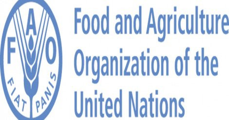 La FAO veut renforcer la sécurité alimentaire