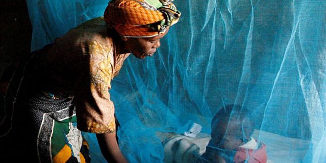 TAMBACOUNDA : LA RÉGION MÉDICALE ENVISAGE LA DISTRIBUTION DE 426 115 MOUSTIQUAIRES IMPRÉGNÉES
