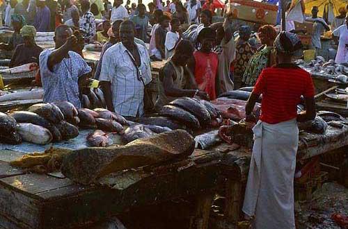 Abdoulaye Diouf Sarr : » Les Sénégalais peuvent manger des poissons »