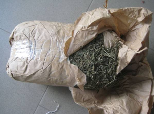Foundiougne : 229 Kg De Chanvre Indien Saisis