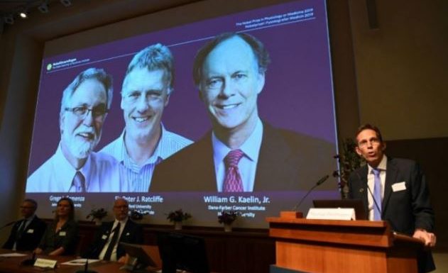 Le Nobel de médecine à deux Américains et un Britannique pour leurs travaux sur l’oxygène