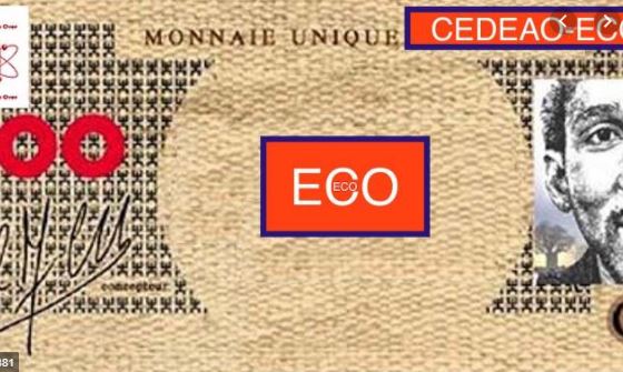 CEDEAO : Le lancement de la monnaie unique Eco une nouvelle fois repoussé