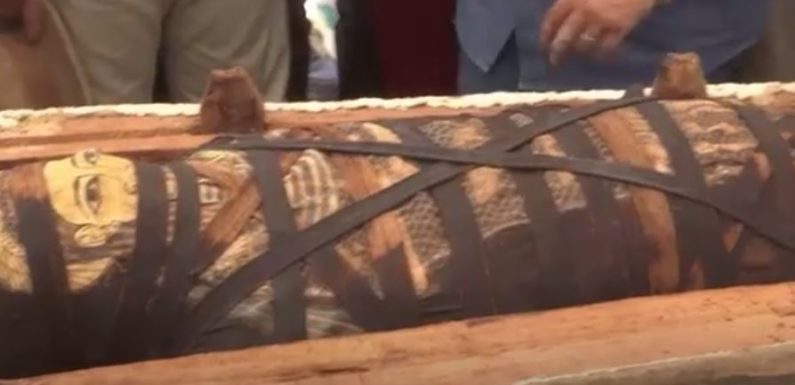 Découverte archéologique majeure en Egypte: 59 sarcophages sortis de terre