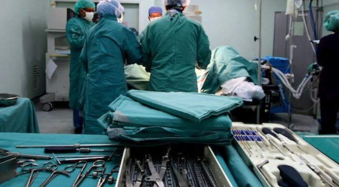 Première mondiale: le rein d’un porc transplanté avec succès sur un humain