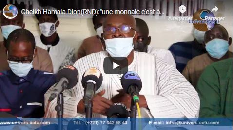 Cheikh Hamala Diop(RND): »une monnaie c’est à long terme qu’elle s’apprecie »